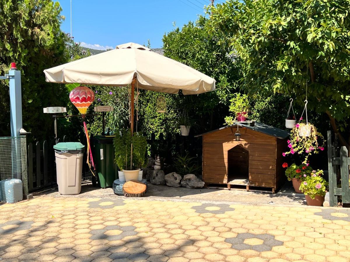 Iris-Gogo House Apartman Návplio Kültér fotó